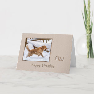 Födelsedag, Golden Retriever Hund in Snö Card Kort