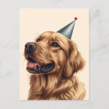 Födelsedag Golden Retriever Hund