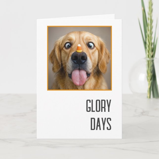 Födelsedag Golden Retriever Med Candy Corn Kort (Framsida)