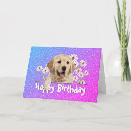 Födelsedag Golden Retriever på Polka dots Kort