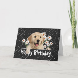 Födelsedag Golden Retriever på Polka dots Kort