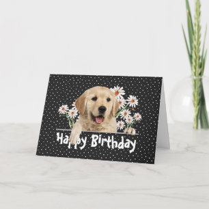 Födelsedag Golden Retriever på Polka dots Kort