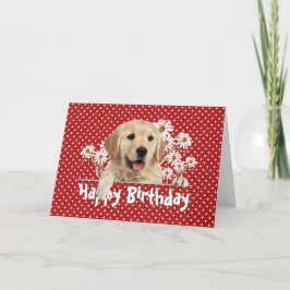 Födelsedag Golden Retriever på Polka dots Kort