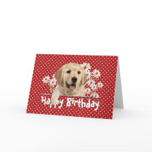 Födelsedag Golden Retriever på Polka dots