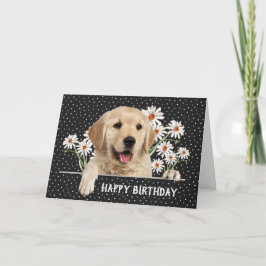 Födelsedag Golden Retriever på Polka dots Kort