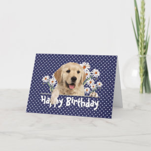 Födelsedag Golden Retriever på Polka dots Kort