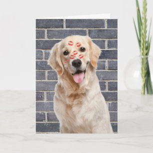 Födelsedag Golden Retriever på tegel Kort