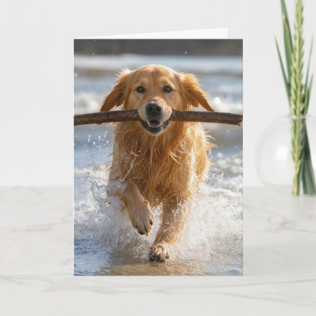 Födelsedag Golden Retriever springer med pinne Kort (Framsida)