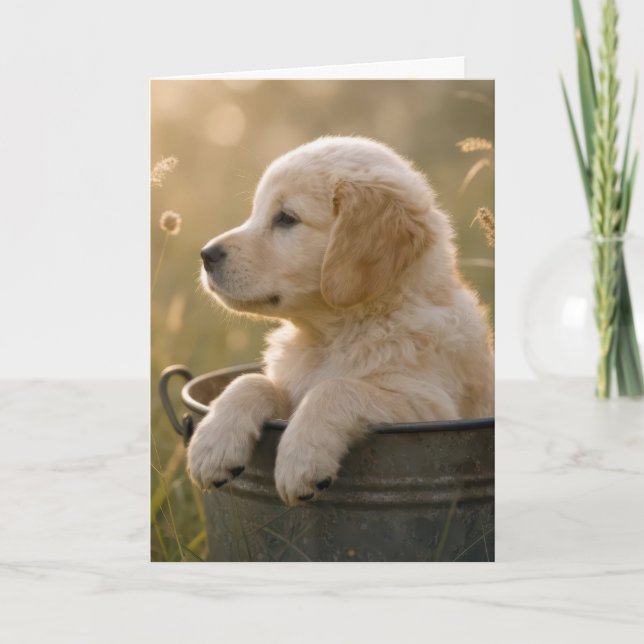 Födelsedag Golden Retriever-valp i en hink Kort (Framsida)