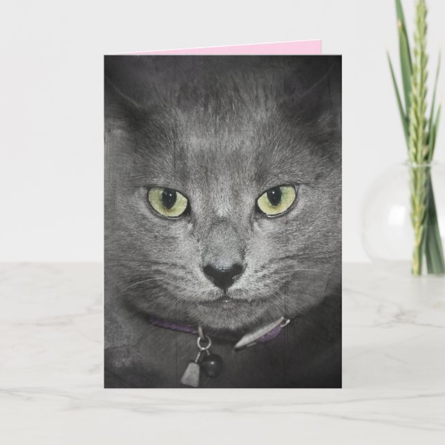 Födelsedag Grå Katt Humor Kort (Framsida)