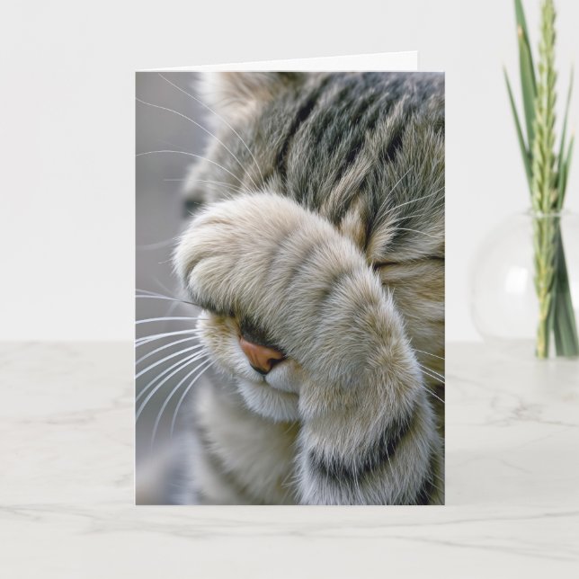 Födelsedag Grå Tabby Katt Blir Gammal Humor Kort (Framsida)