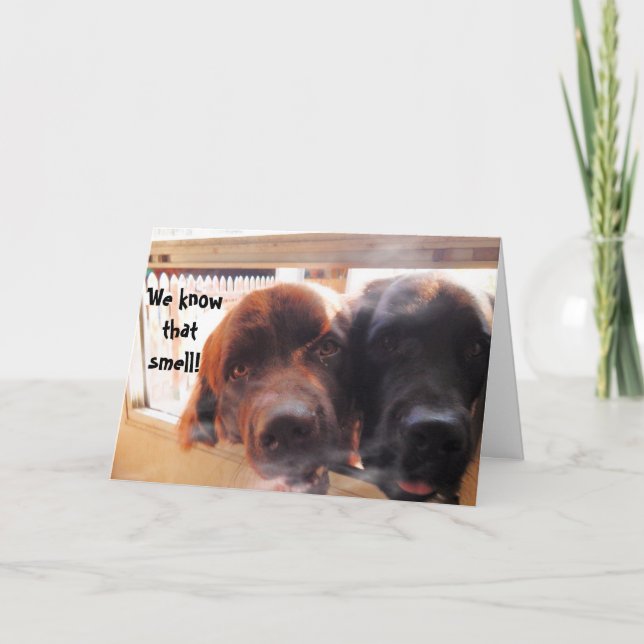 Födelsedag Hälsning ~ Dog humor Kort (Framsida)