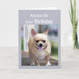 Födelsedag Humor Chihuahua För mycket födelsedagst Kort