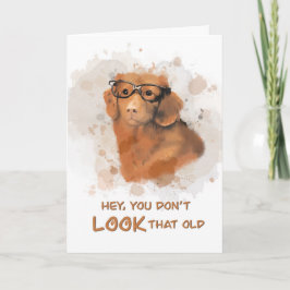 Födelsedag Hund Du ser inte gammal ut Kort