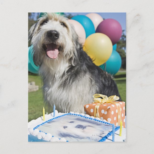 Födelsedag hund vykort (Framsida)