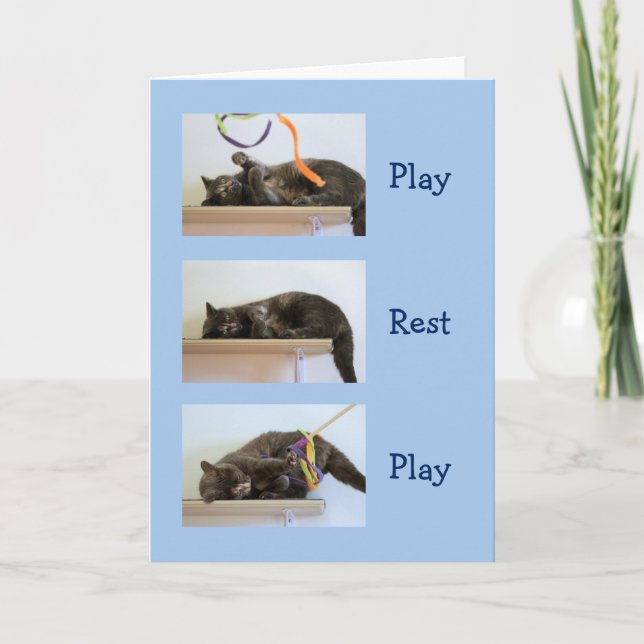 Födelsedag i Önskemål för katter Kort (Framsida)