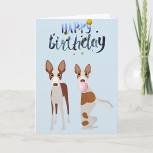 Födelsedag Ibizan Hound Hund Djur Bubble Gum Kort