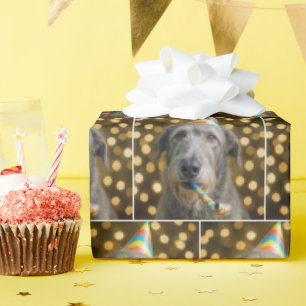 Födelsedag irländsk wolfhound hund med födelsedags presentpapper