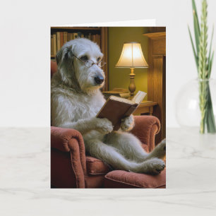 Födelsedag irländsk wolfhound hund som läser en bo kort