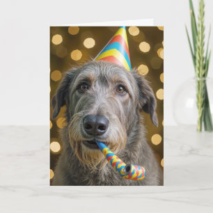 Födelsedag irländsk wolfhound med födelsedagsmössa kort