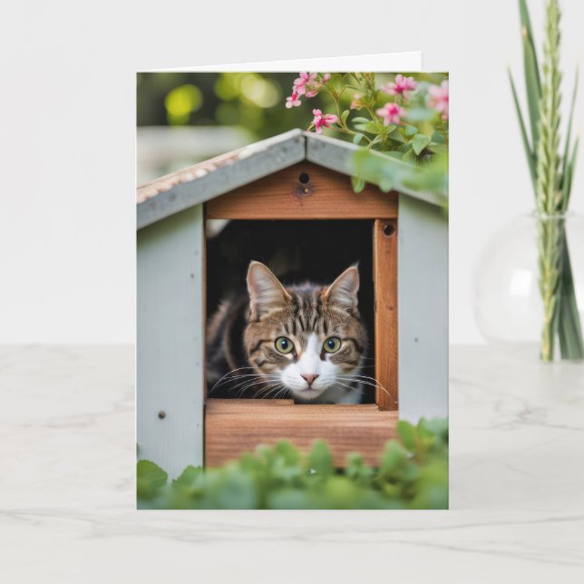 Födelsedag Katt Gömmer i Hund House Kort (Framsida)