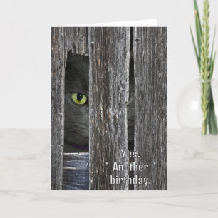 Födelsedag Katt som Gömmer bakom Barn Wood Kort