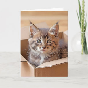 Födelsedag Kitten i kartong Kort