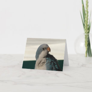 Födelsedag Kort