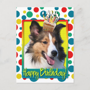 Födelsedag - Kupaka - Sheltie Vykort