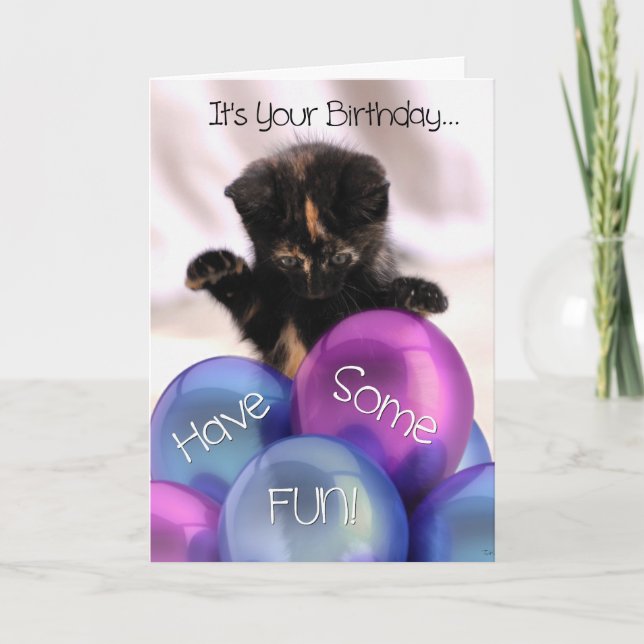 Födelsedag: Lubbig Kitten Birthday Card Kort (Framsida)