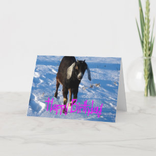 Födelsedag Minnie Goat i Snö Kort