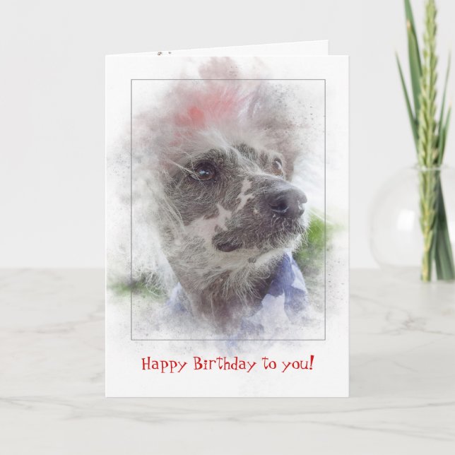 födelsedag-patriotisk kines krönad hårlös hund kort (Framsida)