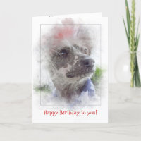 födelsedag-patriotisk kines krönad hårlös hund