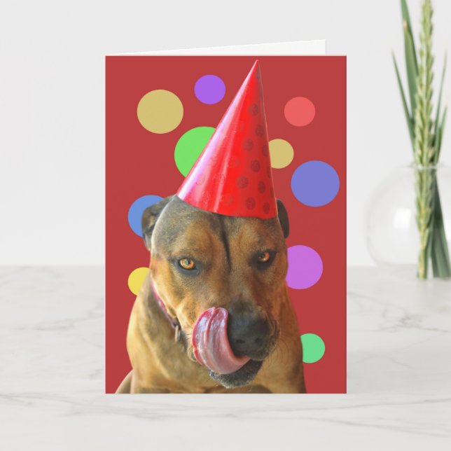Födelsedag Pit Bull Cute Hund med Party Hat Kisses Kort (Framsida)