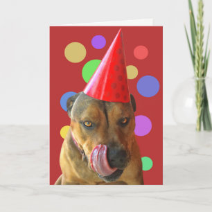 Födelsedag Pit Bull Cute Hund med Party Hat Kisses Kort