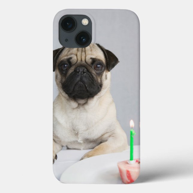 Födelsedag Pug (Baksida)