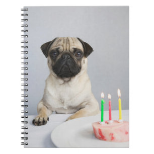 Födelsedag Pug Anteckningsbok