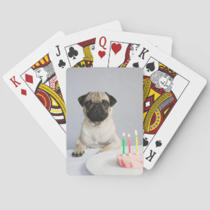 Födelsedag Pug Casinokort