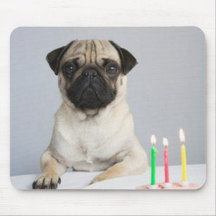 Födelsedag Pug Musmatta