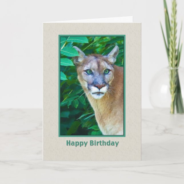 Födelsedag puma i djungelkortet kort (Framsida)