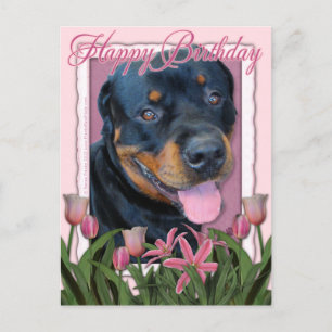Födelsedag - Rosa Tulips - Rottweiler - Harley Vykort