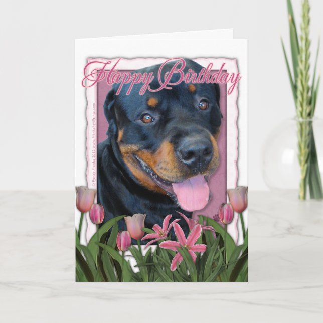 Födelsedag - rosa tulpan - Rottweiler - Harley Kort (Framsida)