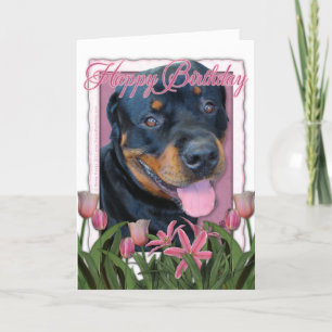 Födelsedag - rosa tulpan - Rottweiler - Harley Kort