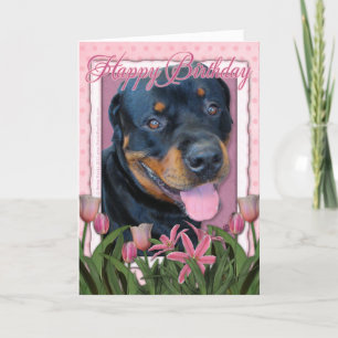 Födelsedag - rosa tulpan - Rottweiler - Harley Kort