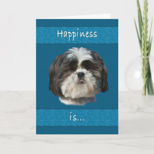 Födelsedag, Shih Tzu Hund Kort