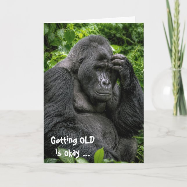 Födelsedag Silverback Gorilla Djup I Tanke Kort (Framsida)