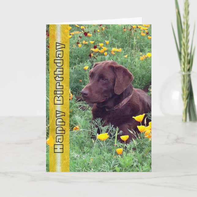 Födelsedag Snygg Labrador Retriever Hund Foto Kort (Framsida)