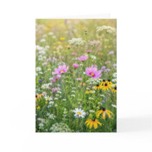 Födelsedag Sommar Vildblommeäng