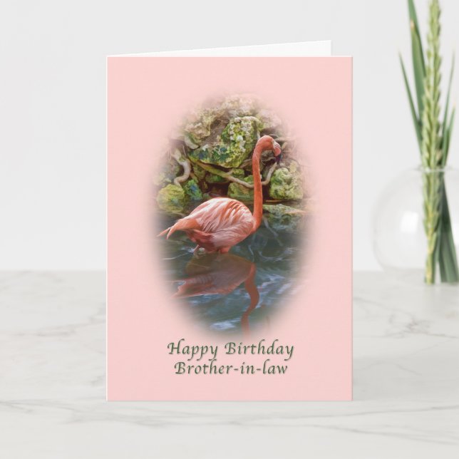 Födelsedag, svåger, Rosa Flamingokort Kort (Framsida)