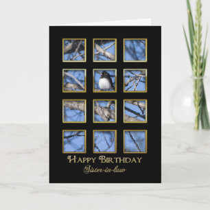 Födelsedag - svärmästare kort